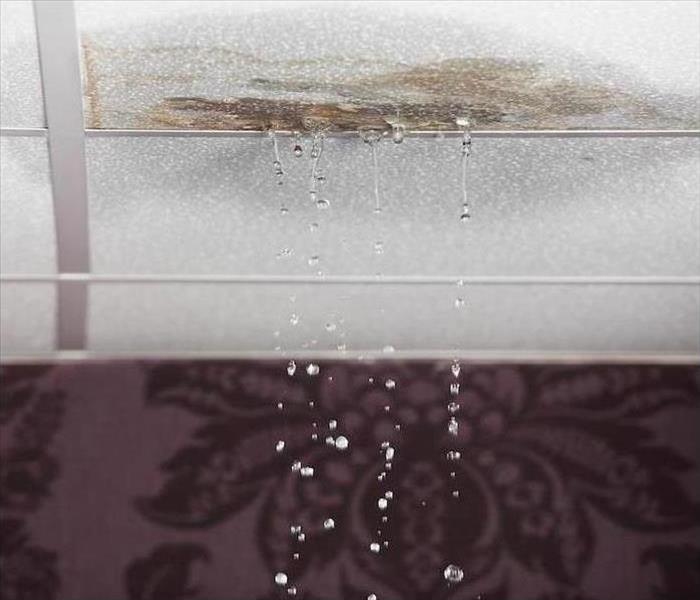 Water Drips From Ceiling